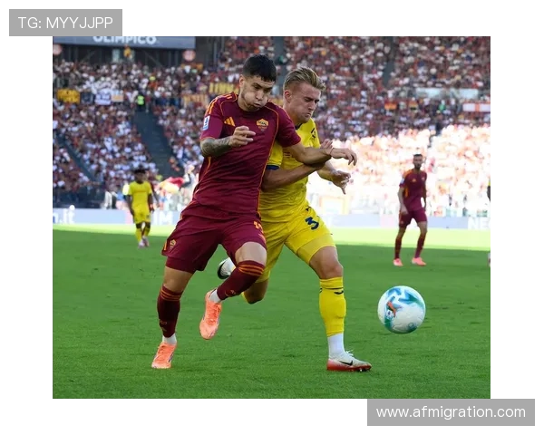 维罗纳俱乐部的辉煌历史与未来发展探讨：足球文化与城市精神的融合